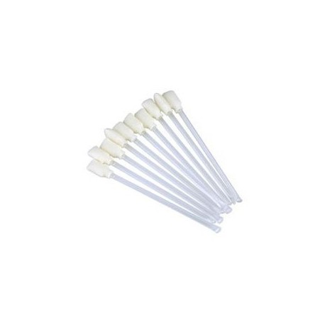 A5003 Kit de nettoyage HeadClean : 25 bâtonnets avec embout mousse et réservoir pour Tattoo2 Pebble4 Dualsy3