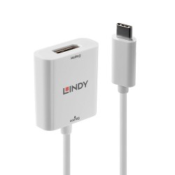 Lindy 43245 adaptateur graphique USB 3840 x 2160 pixels Blanc
