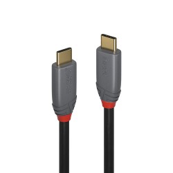 Lindy 36900 câble USB 0,5 m USB C Noir, Gris