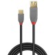 Lindy 36895 câble USB 0,15 m USB 3.2 Gen 2 (3.1 Gen 2) USB C USB A Noir