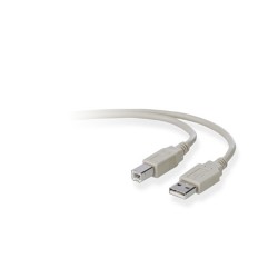 Belkin USB A/B 3m câble USB USB 2.0 USB B Gris