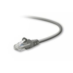 Belkin UTP CAT5e 5 m câble de réseau Gris U/UTP (UTP)