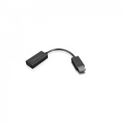 Lenovo 4X90R61023 câble vidéo et adaptateur 0,225 m DisplayPort HDMI Type A (Standard) Noir