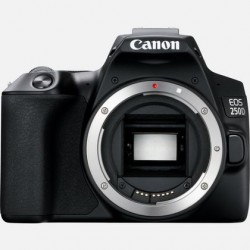 Canon EOS 250D Boîtier d'appareil-photo SLR 24,1 MP CMOS 6000 x 4000 pixels Noir