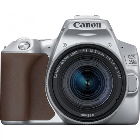Canon EOS 250D + EF-S 18-55mm f/4-5.6 IS STM Kit d'appareil-photo SLR 24,1 MP CMOS 6000 x 4000 pixels Argent