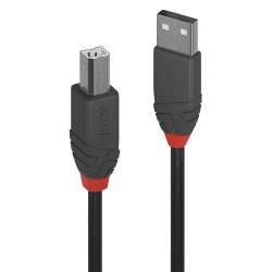 Lindy 36670 câble USB USB 2.0 0,2 m USB A USB B Noir, Gris