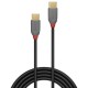 Lindy 36870 câble USB USB 2.0 0,5 m USB C Noir, Gris