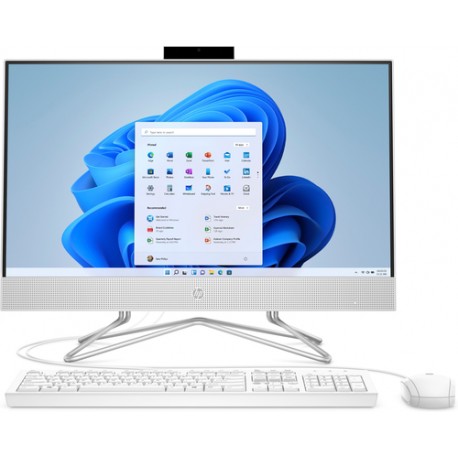 HP 24-df0134nf Intel® Pentium® Silver J5040 60,5 cm (23.8") 1920 x 1080 pixels PC All-in-One 8 Go DDR4-SDRAM 256 Go SSD Windows 