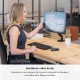 Fellowes Platinum Series Bras porte-écran simple - Noir