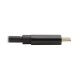 Tripp Lite U444-006-DP-BD câble vidéo et adaptateur 1,83 m USB Type-C DisplayPort Noir
