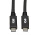 Tripp Lite U420-20N-G2-5A câble USB USB 3.2 Gen 2 (3.1 Gen 2) 0,5 m USB C Noir