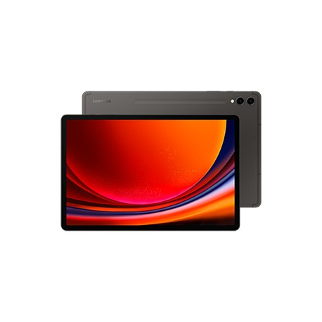 Samsung Galaxy Tab S9+ SM-X810N Qualcomm Snapdragon 256 Go 31,5 cm (12.4") 12 Go Wi-Fi 6 (802.11ax) Android 13 Graphite