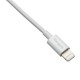 Targus ACC96101EU câble Lightning 1 m Blanc