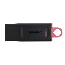 Kingston Technology DataTraveler Exodia - Clé USB 3.2