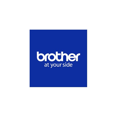 Brother ZBR8LSSPA006 licence et mise à jour de logiciel 1 licence(s) Multilingue